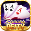 rummy se app icon